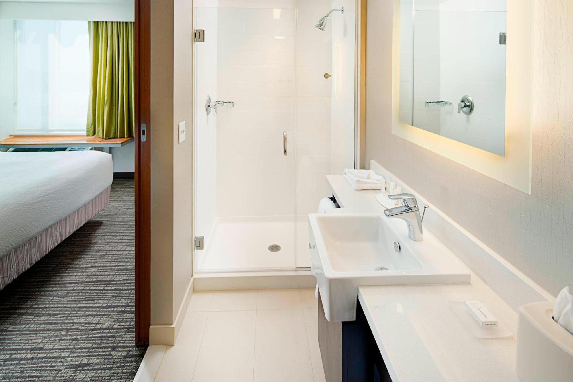 Springhill Suites By Marriott Carle Place Garden City Exterior photo